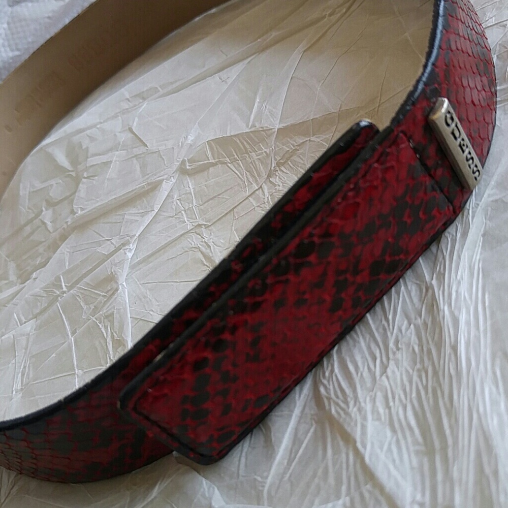 Belt - Picture 4 of 8